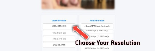 Step 3 - Choose your video format