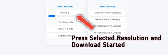 Step 4 - Press Selected Format And Download
